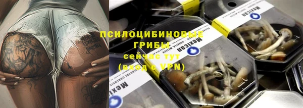 мяу мяу мука Семёнов