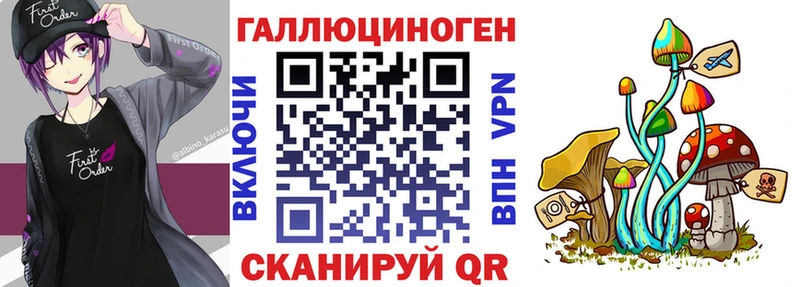 Галлюциногенные грибы Psilocybine cubensis  Болохово 