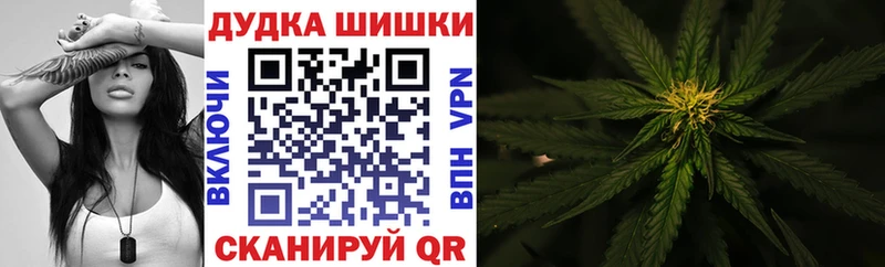MEGA вход  Болохово  Конопля семена 